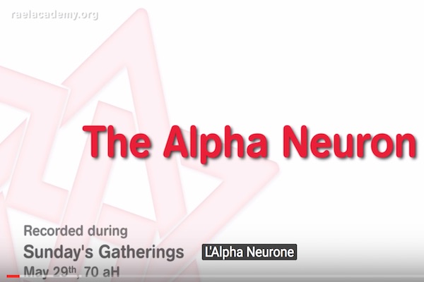 neurone alpha