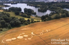 crop circle