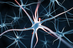 neurone artificiel