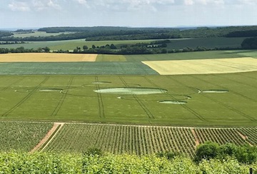 crop circle ambassade ovni rael raélien elohim extraterrestres