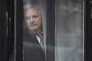 journaliste Assange fausses news