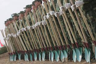 soldats qui plantent des arbres