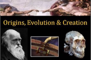 évolution ou création