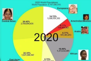 population mondiale