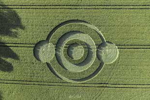 crop circles 2020 Crop1-copy