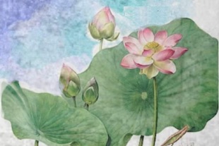 lotus