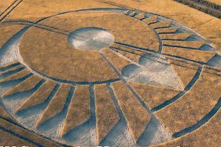 crop circles de 2020