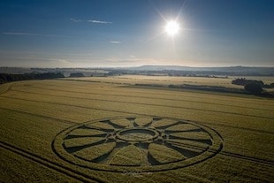 crop circles de Juin 2020