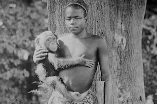 homme en cage au zoo