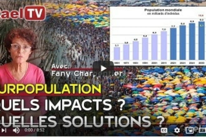 SURPOPULATION IMPACTS SOLUTIONS