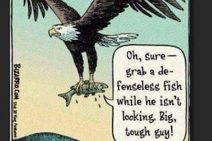 Un aigle accapareur, le symbole parfait pour les Etats-Unis