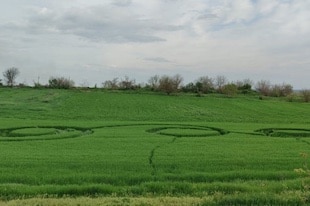 crop circles de 2021