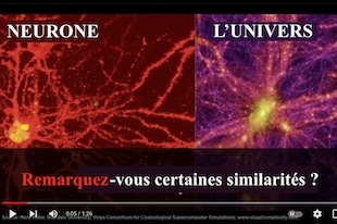 Univers un "cerveau géant" ?