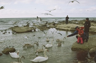 les oiseaux nous rendent plus heureux