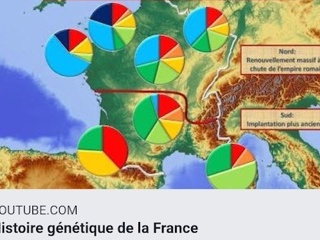 Les bouleversements génétiques de l'histoire de France