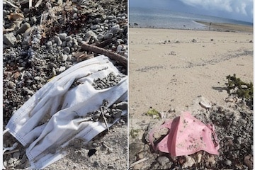 Des masques partout : dans les océans et sur les plages