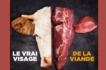 Dites aux vegans que la carotte aussi est un être vivant