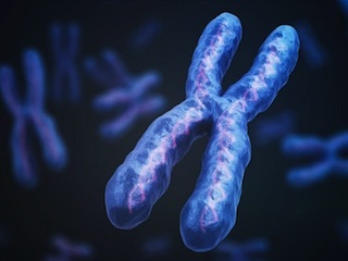 chromosome