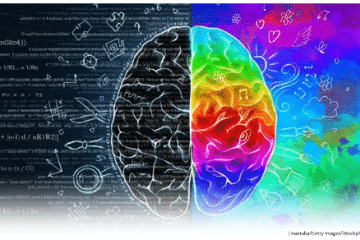 l’intelligence émotionnelle