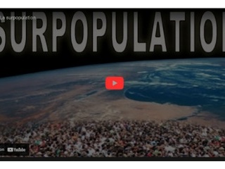 La surpopulation, un problème majeur