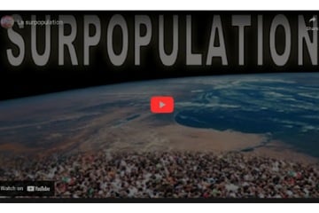 La surpopulation, un problème majeur