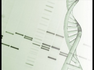 Mécanisme de repliement de l’ADN