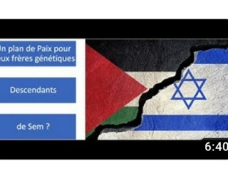 Remise du plan de Paix aux ambassades de Palestine et d’Israël